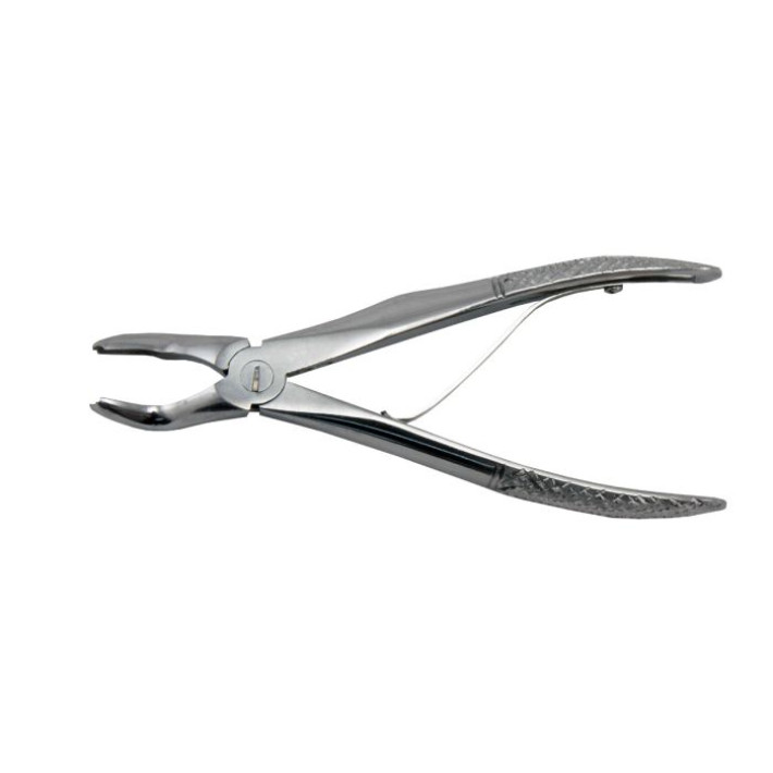 Cleste 563 Copii - Radacini superioare