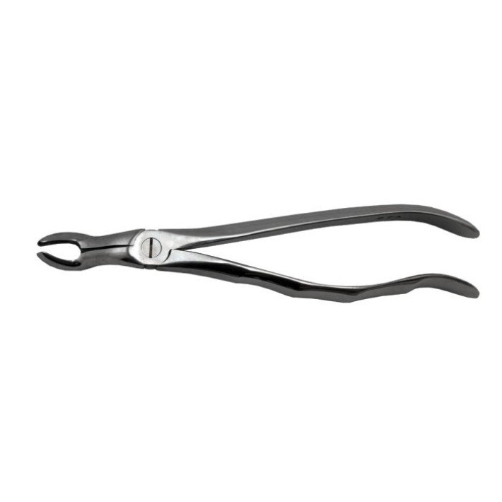 Cleste 67A - Al treilea molar superior