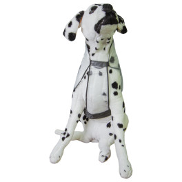 Pelerina ploaie pentru animale, transparenta, 60cm, marimea L Pelerina ploaie pentru animale, transparenta, 60cm, marimea L