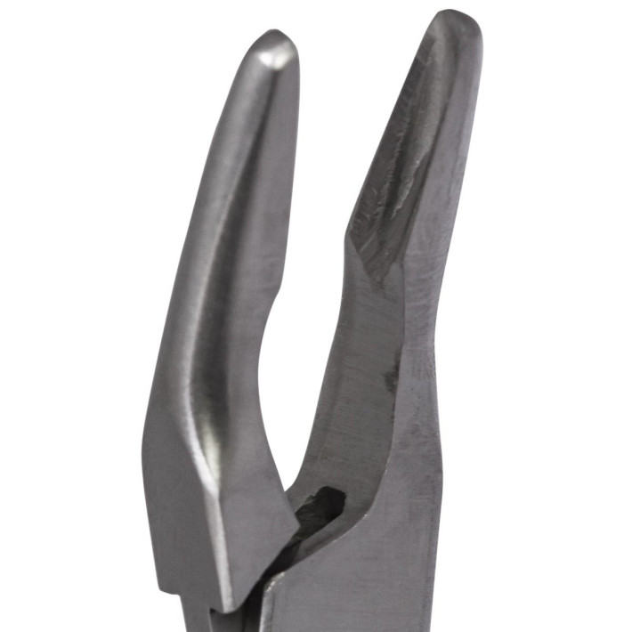 Ciupitor de os Friedman, 14cm