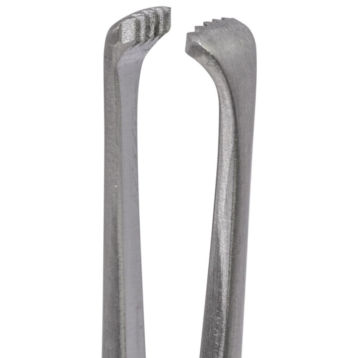 Pensa amigdale Colver, PRIMA, 19 cm