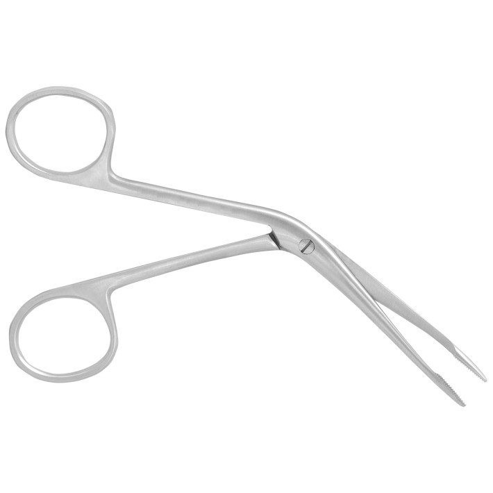 Pensa auricula Hartmann 12cm