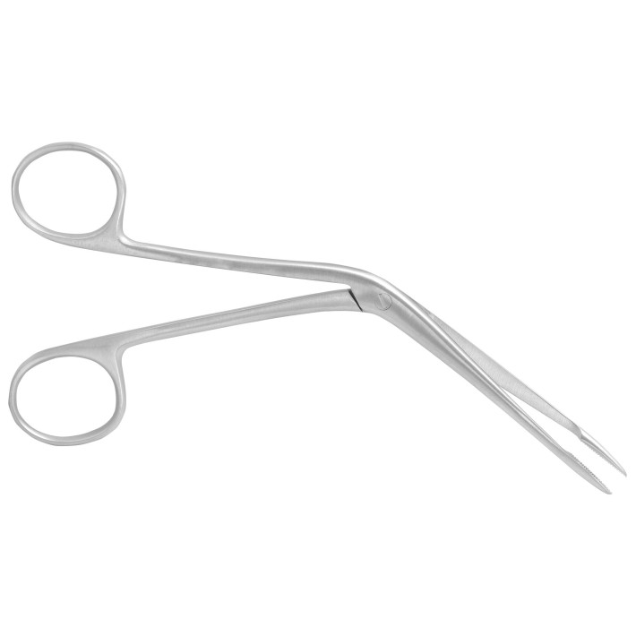 Pensa auricula Hartmann 14cm