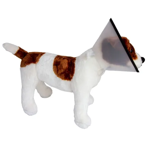 Guler protectie XL (42-50 cm) pentru animale, cu velcro, confortabil